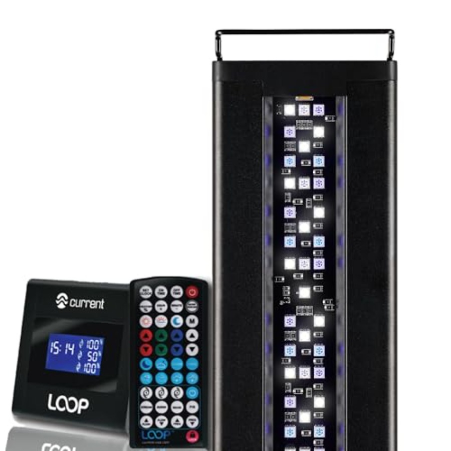Marine Aquarium Hours - USA 24-36 Inch Orbit Marine LED