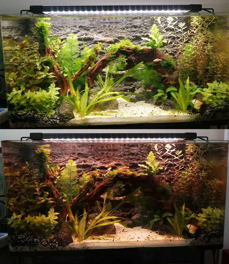 Aquarium LED Lighting 24/7 Hou - огляд і ціна Marine Aquarium Hours