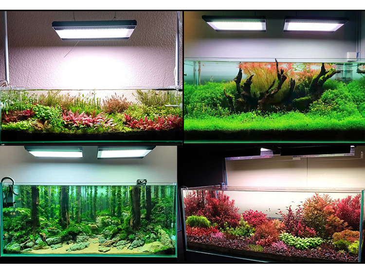 WEEK AQUA A430Pro LED Aquarium - огляд і ціна Marine Aquarium Uv Light