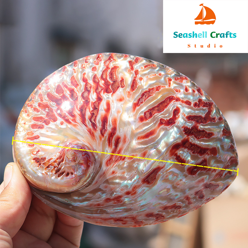 Home Decoration Red Pattern Ab - огляд і ціна Marine Aquarium Decorations