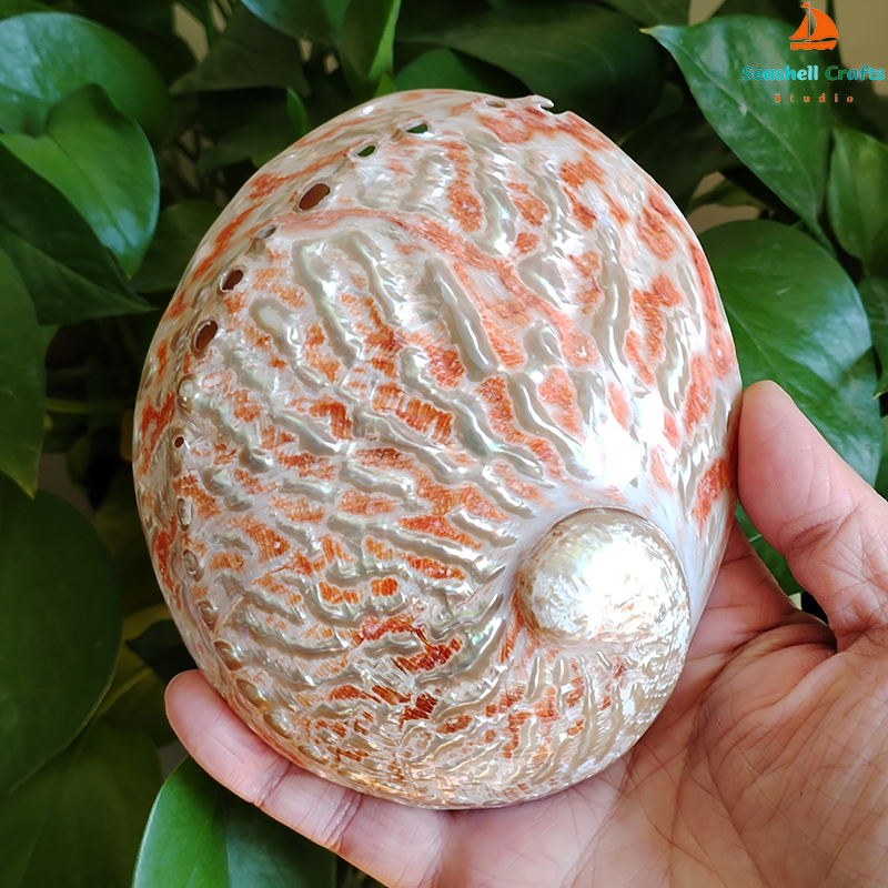 Home Decoration Red Pattern Ab - огляд і ціна Marine Aquarium Decorations