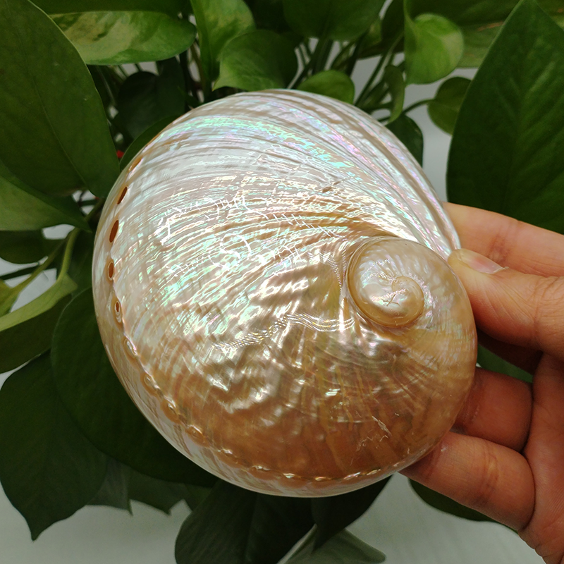 Home Decoration Red Pattern Ab - огляд і ціна Marine Aquarium Decorations