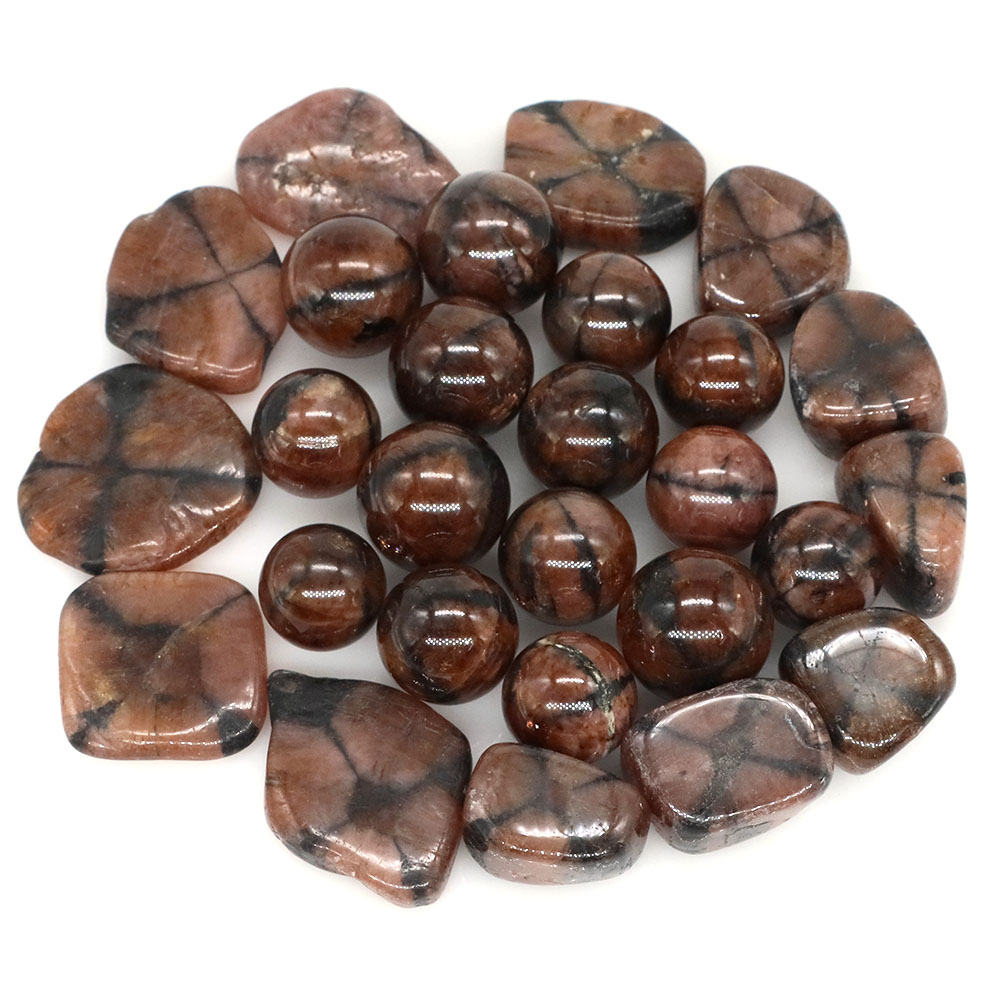 Natural Cross Chiastolite Quar - огляд і ціна Aquarium Marine Stone