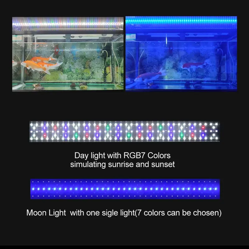 SIROKA High Quality IP68 Water - огляд і ціна Marine Aquarium Hours