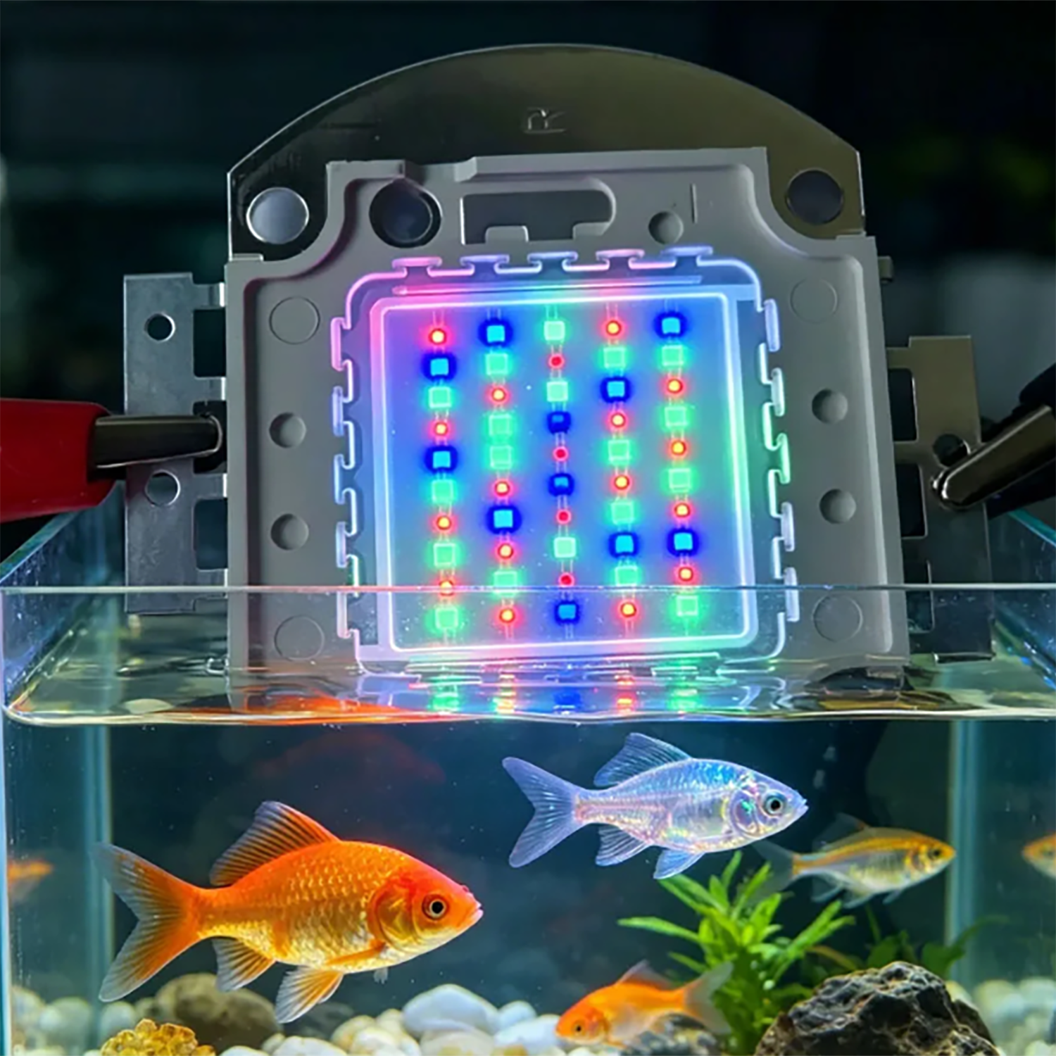 50W 60W 70W 100W RGB 26-28V Hi - огляд і ціна Marine Aquarium Uv Light