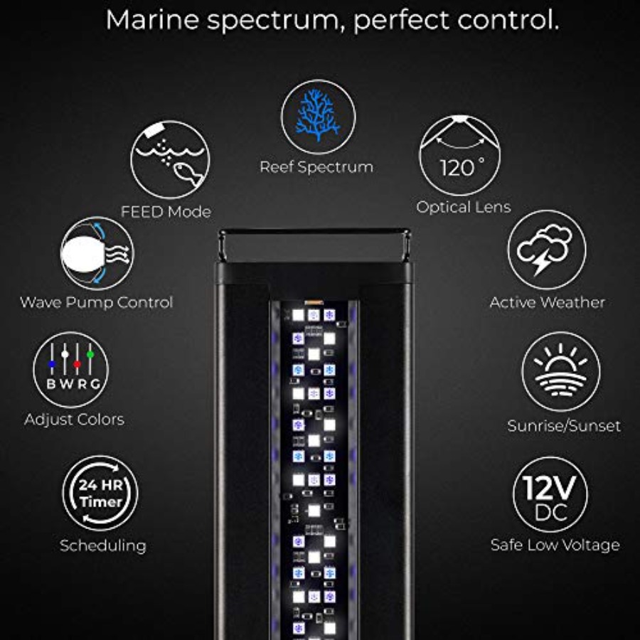 USA 48 - 60 Inch Orbit Marine  - огляд і ціна Marine Aquarium Hours