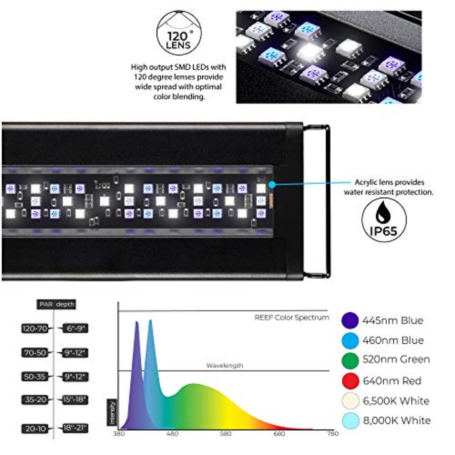 USA 48 - 60 Inch Orbit Marine  - огляд і ціна Marine Aquarium Hours