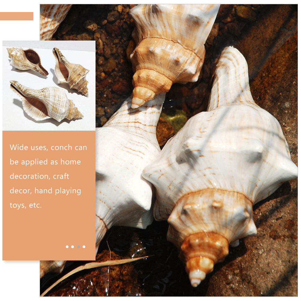 Decorative Conch Shell for Aqu - огляд і ціна Marine Aquarium Decorations