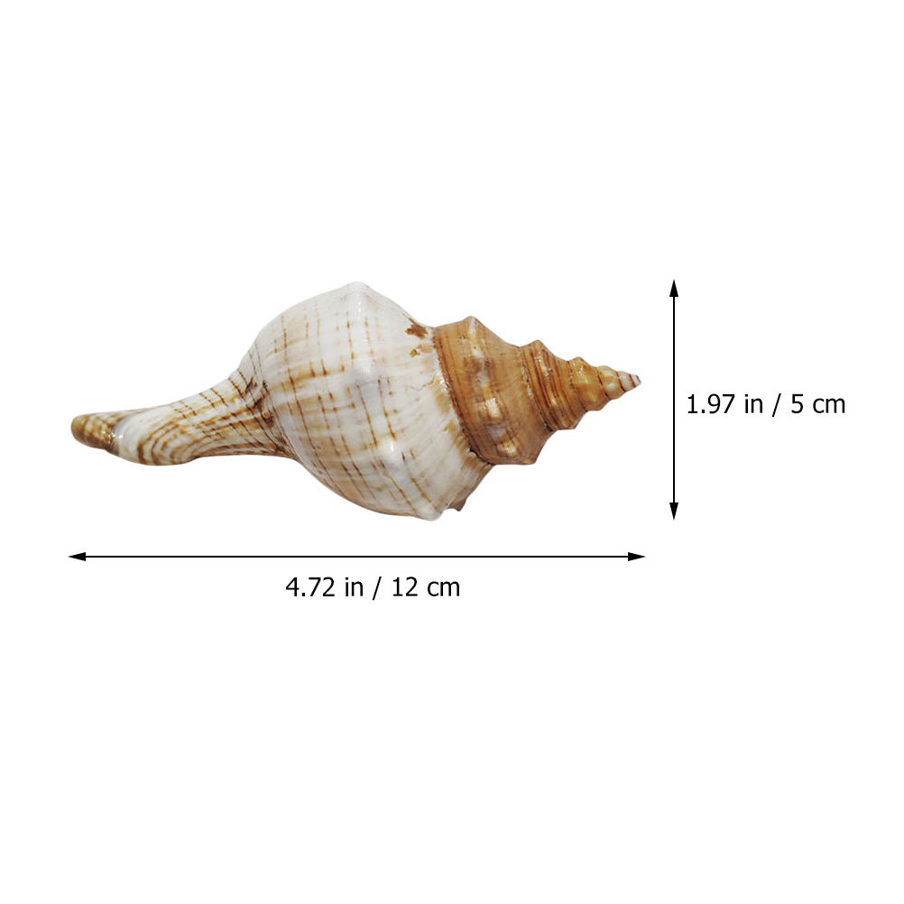 Decorative Conch Shell for Aqu - огляд і ціна Marine Aquarium Decorations