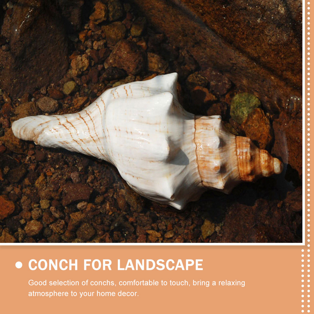 Decorative Conch Shell for Aqu - огляд і ціна Marine Aquarium Decorations